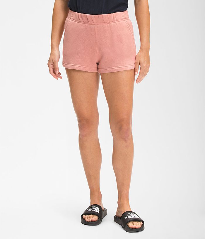 Pantalones Cortos The North Face Mujer Logo Rosas - Peru 96832NYHR